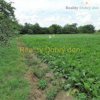 Prodej pozemku Opava