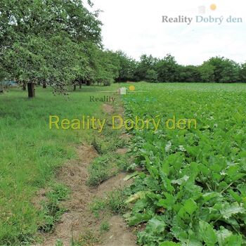 Prodej pozemku Opava