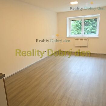 Pronájem 1+kk, Hany Kvapilové, Opava