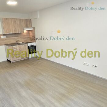 Pronájem 1+kk, Hany Kvapilové, Opava