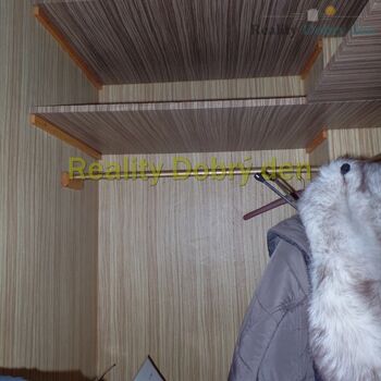 Pronájem 1+1, Kollárova, Opava