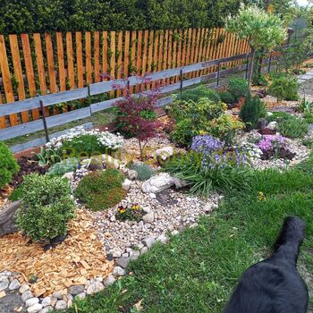 Prodej 2+1 s terasou a zahradou, Tyršova, Opava