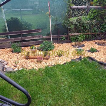 Prodej 2+1 s terasou a zahradou, Tyršova, Opava