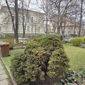 Prodej 2+1 s terasou a zahradou, Tyršova, Opava